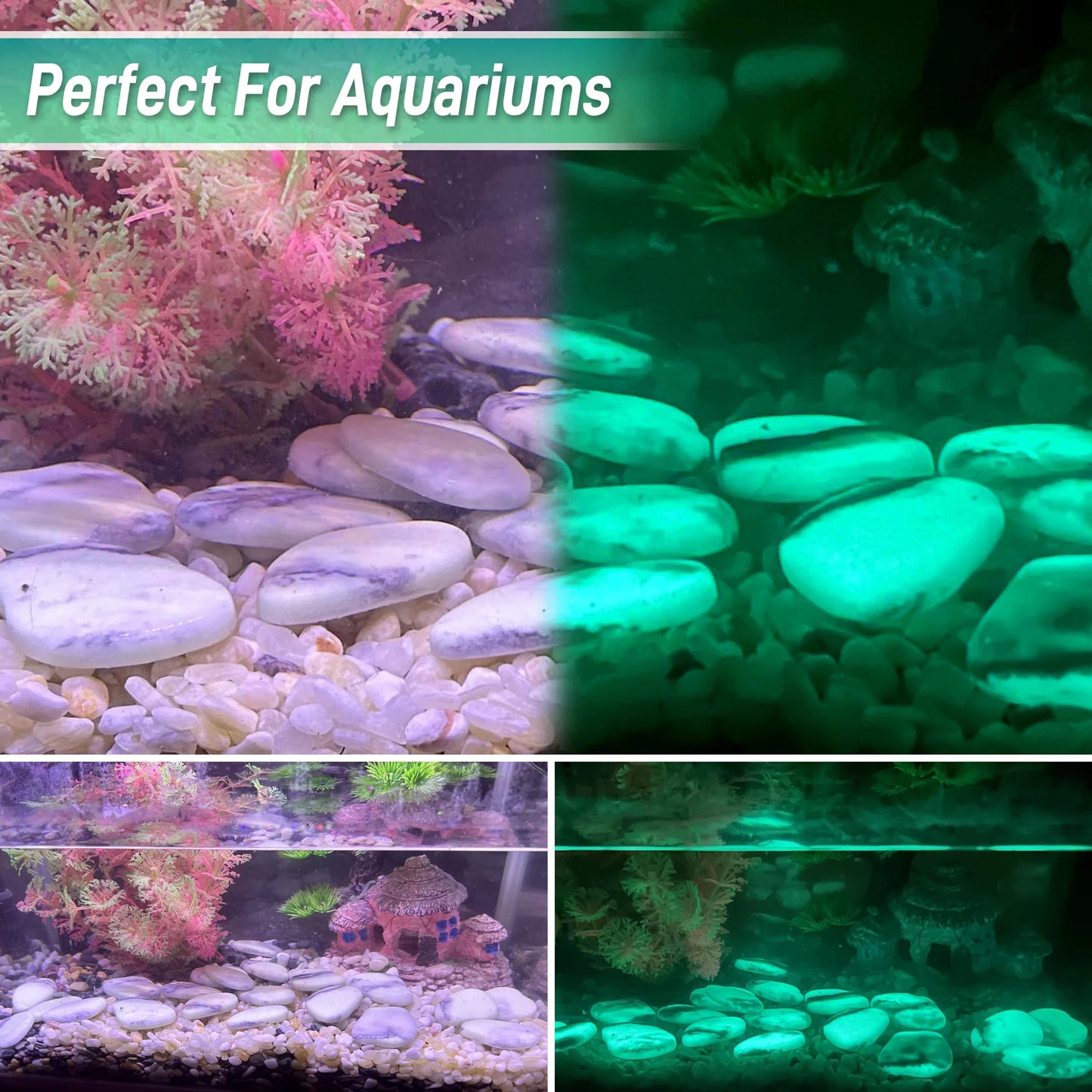 4.5LB Glowing Rocks