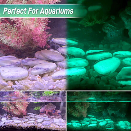 4.5LB Glowing Rocks
