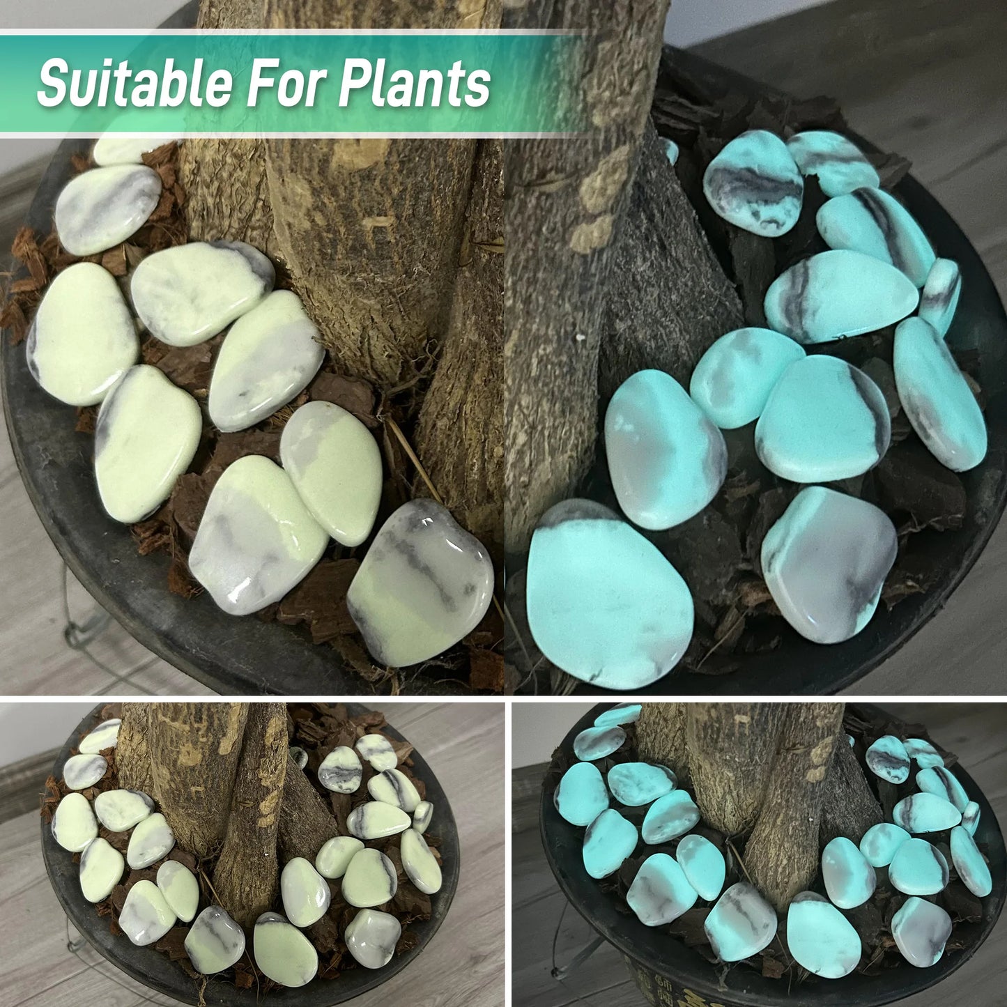 4.5LB Glowing Rocks