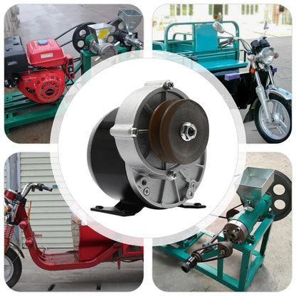 250w 24v Electric Bicycle Reduction Motor, Powerful Motor With Pulley, Gear Motor