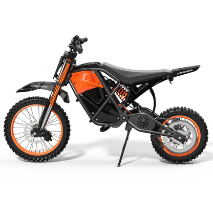 14"/12" Fat Tire Electric Dirt Bike 48V Mountain