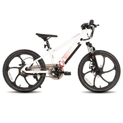 JOYSTAR Electric Bike for Kids Teens Ages 7+ with 250W Motor, 15 Miles 15MPH Electric Mountain Bicycle Safe Mini Ebikes