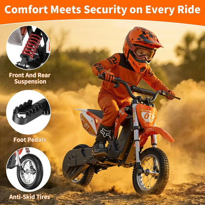36V 300W Kids Electric Dirt Bike,Electric Motorcycle with 3 Speed of 5/7.5/15.5MPH & up to 12.4 Miles, Customized
