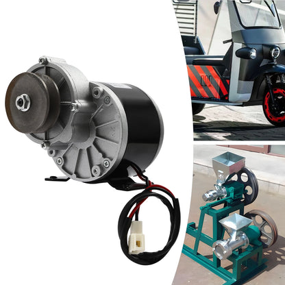 250w 24v Electric Bicycle Reduction Motor, Powerful Motor With Pulley, Gear Motor
