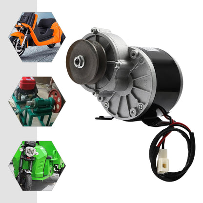 250w 24v Electric Bicycle Reduction Motor, Powerful Motor With Pulley, Gear Motor