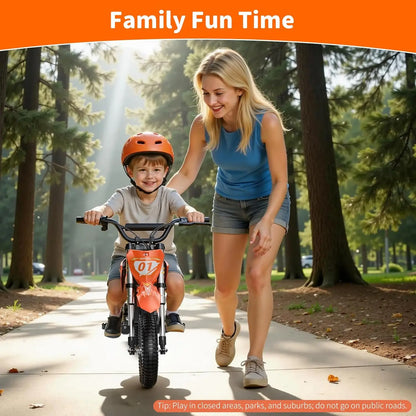 36V 300W Kids Electric Dirt Bike,Electric Motorcycle with 3 Speed of 5/7.5/15.5MPH & up to 12.4 Miles, Customized