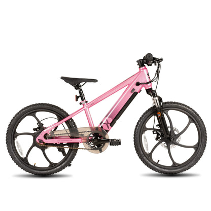 JOYSTAR Electric Bike for Kids Teens Ages 7+ with 250W Motor, 15 Miles 15MPH Electric Mountain Bicycle Safe Mini Ebikes